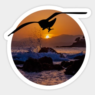 Seagull and the sea Sticker